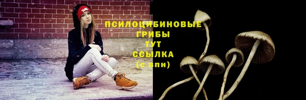 гашиш Арсеньев