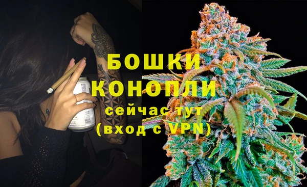 шишки Пестово