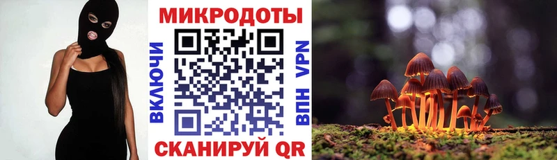 Галлюциногенные грибы Psilocybine cubensis  даркнет сайт  Георгиевск 